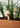 Wooden Mushroom Garden Stick