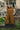 Zinat Pant in Almond