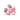 Blush | Set of 8